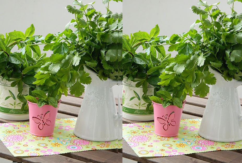 أفضل طريقة لحفظ الأعشاب طازجة لأطول فترة ممكنة أفضل طريقة لحفظ الأعشاب طازجة لأطول فترة ممكنة