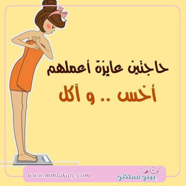 دايت