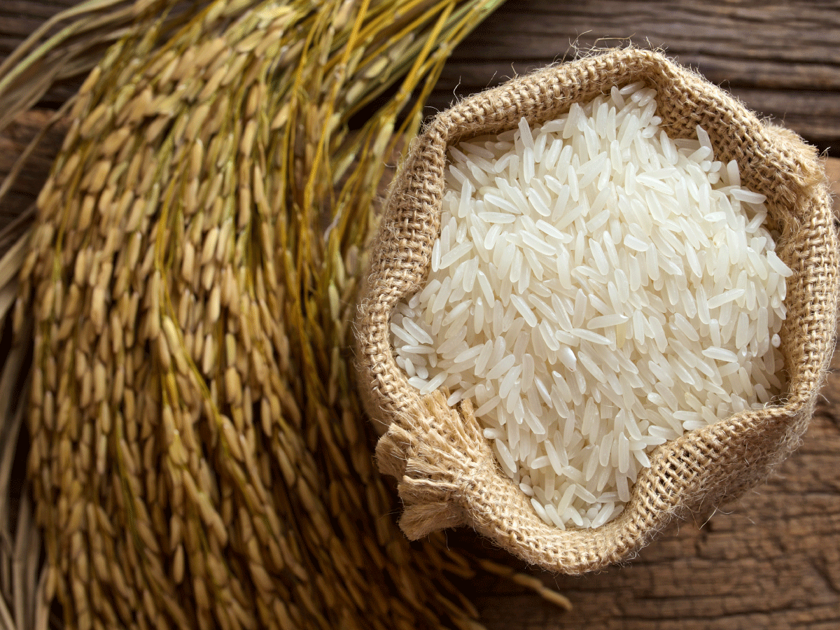 كمية الماء اللازمة لطهي الأرز