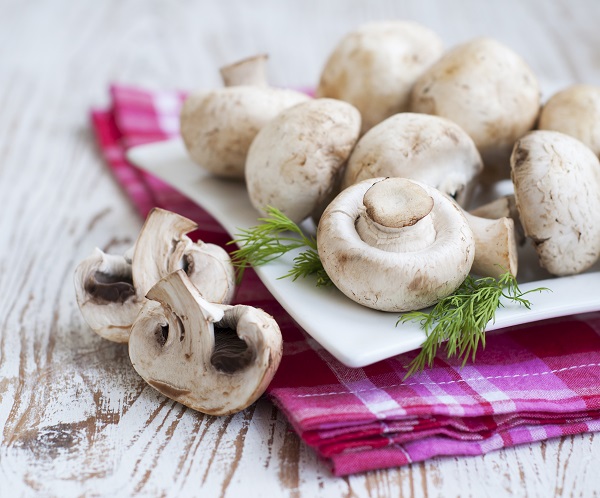 طريقة حفظ الفطر الطازج طريقة حفظ الفطر الطازج