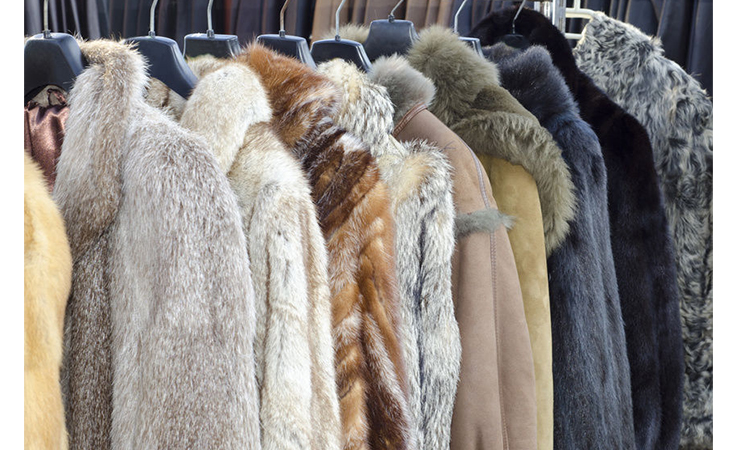 خطوات تنظيف معاطف الفرو ببراعة