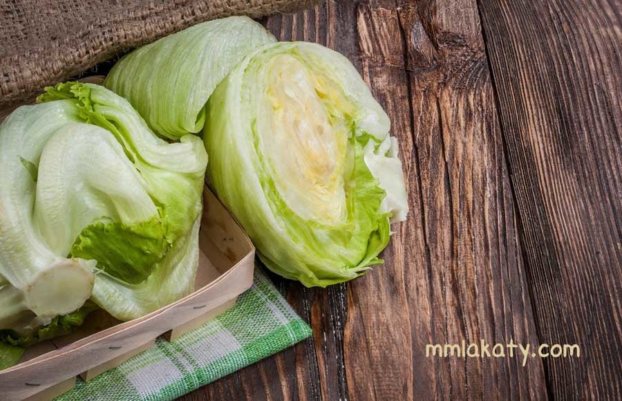 غسل الخضروات والفاكهة من المبيدات