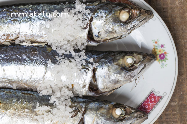 هل-يمكن-تناول-الفسيخ-و-الرنجة-في-الحمل-؟ هل يمكن تناول الفسيخ و الرنجة في الحمل ؟