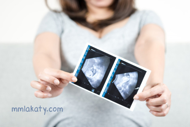 مراحل-نمو-الجنين مراحل نمو الجنين بالتفصيل وما يميز كل مرحلة