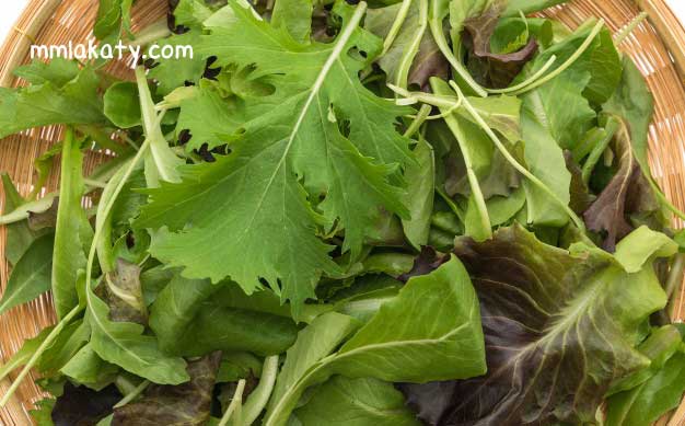 طريقة-حفظ-الخضروات-الورقية-في-الثلاجة طريقة حفظ الخضروات الورقية في الثلاجة