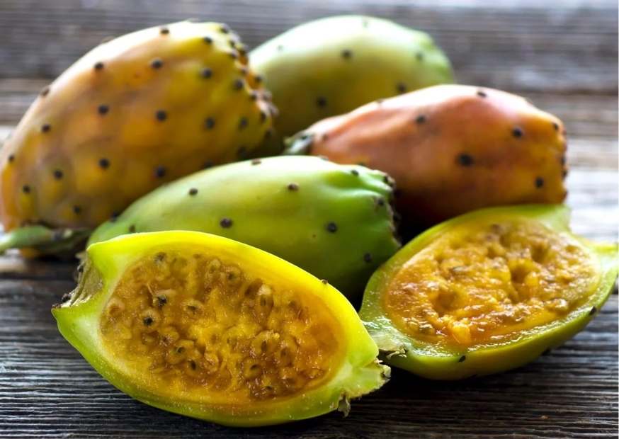 فوائد التين الشوكي فوائد التين الشوكي