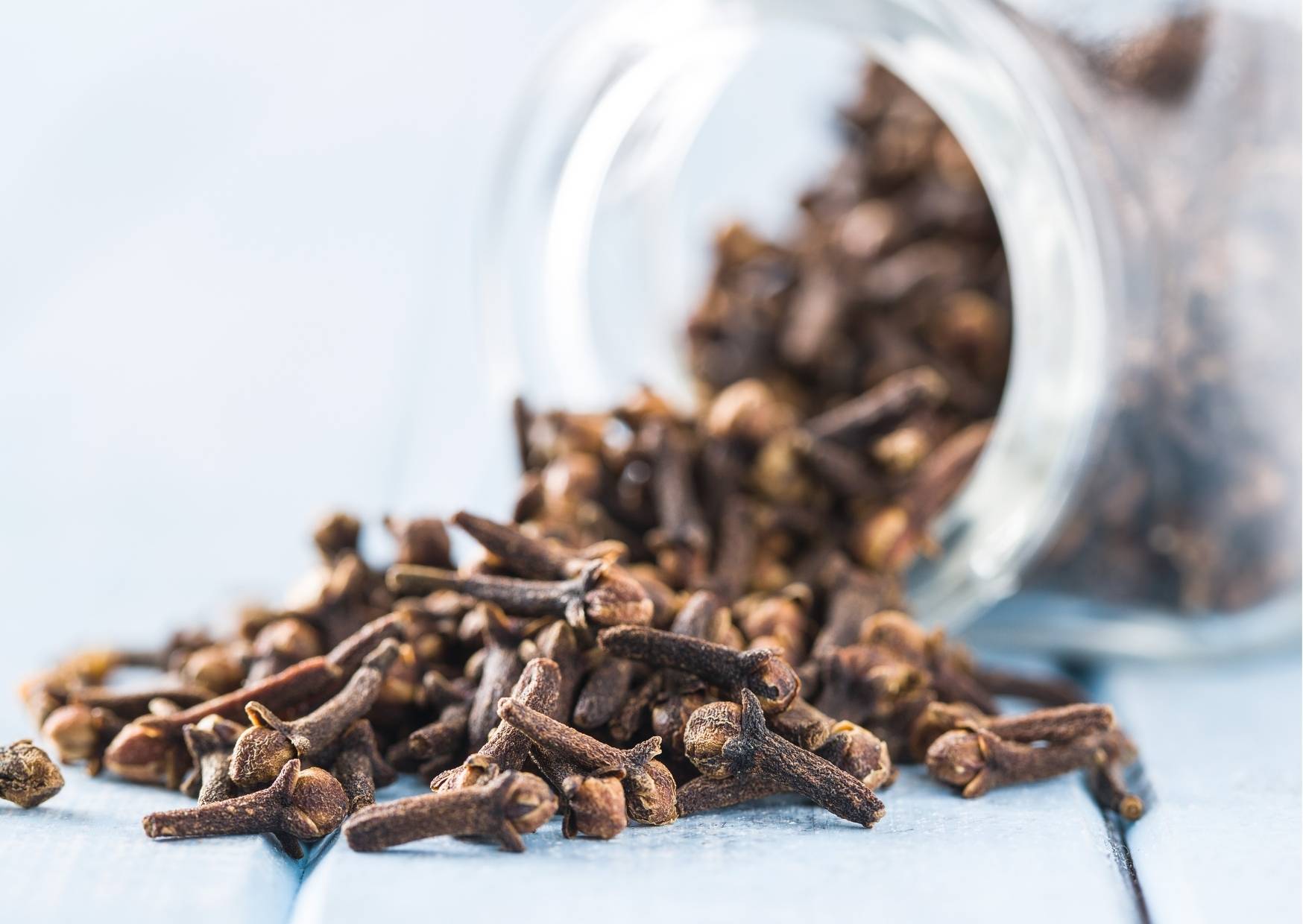 فوائد القرنفل وأضراره فوائد القرنفل وأضراره