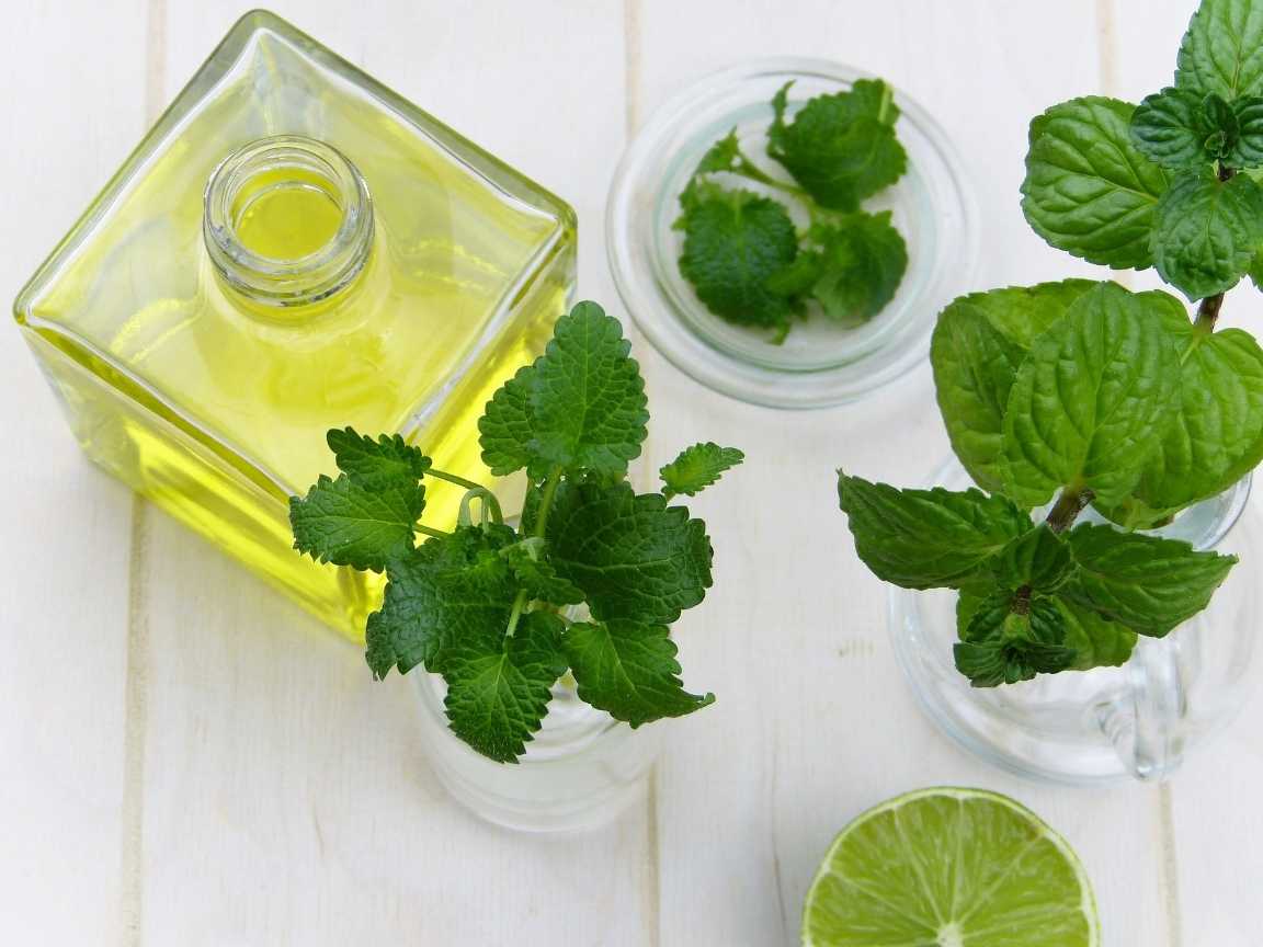 فوائد النعناع للتخسيس فوائد النعناع للتخسيس