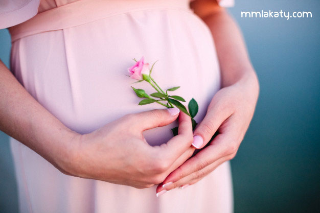 الحمل-الكيميائي الحمل الكيميائي