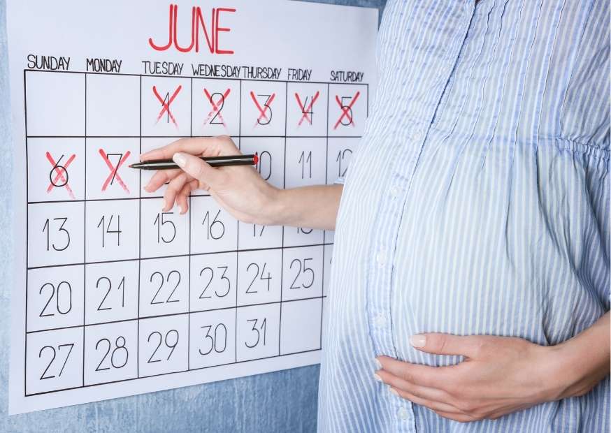 الحمل من التلقيح حساب الحمل من يوم التلقيح