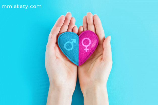 حمل-التوأم حمل التوأم