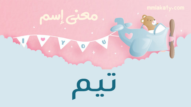 معنى اسم تيم