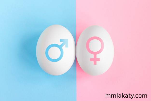 طريقة انجاب التوائم بالاعشاب