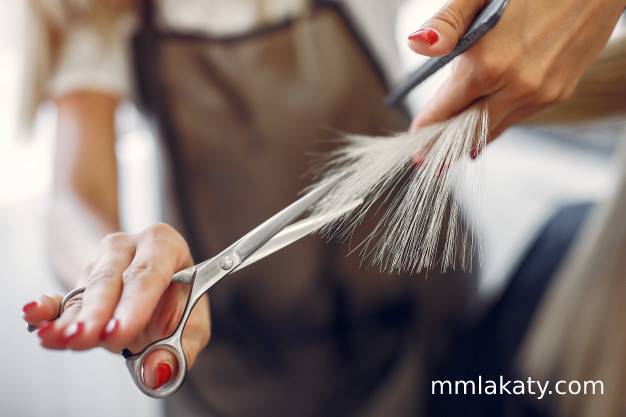 أعشاب بابونج للشعر الجاف