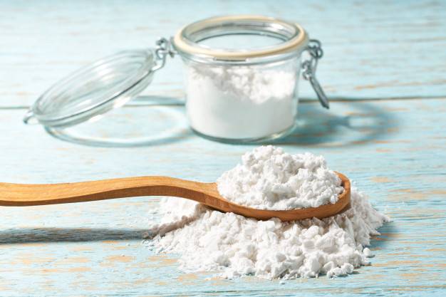 الشبه للابط