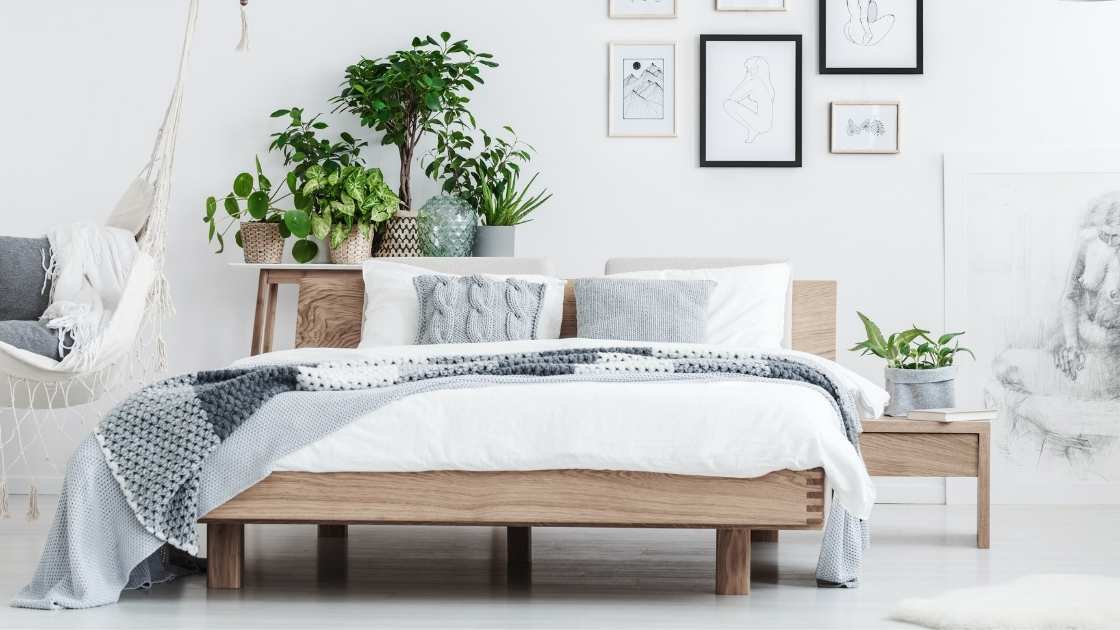 اسعار مراتب انجلندر