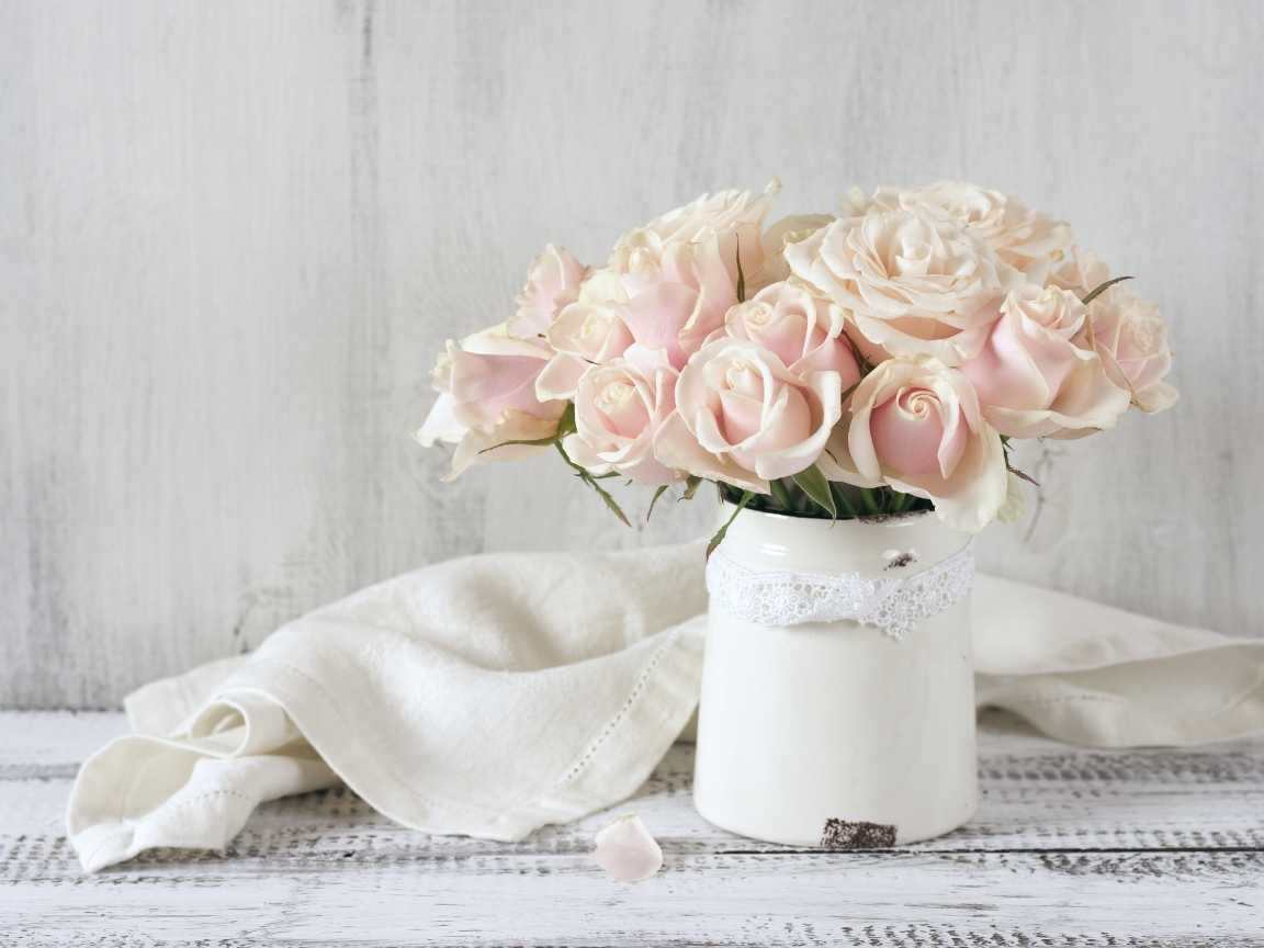 زراعة الورد في البيت