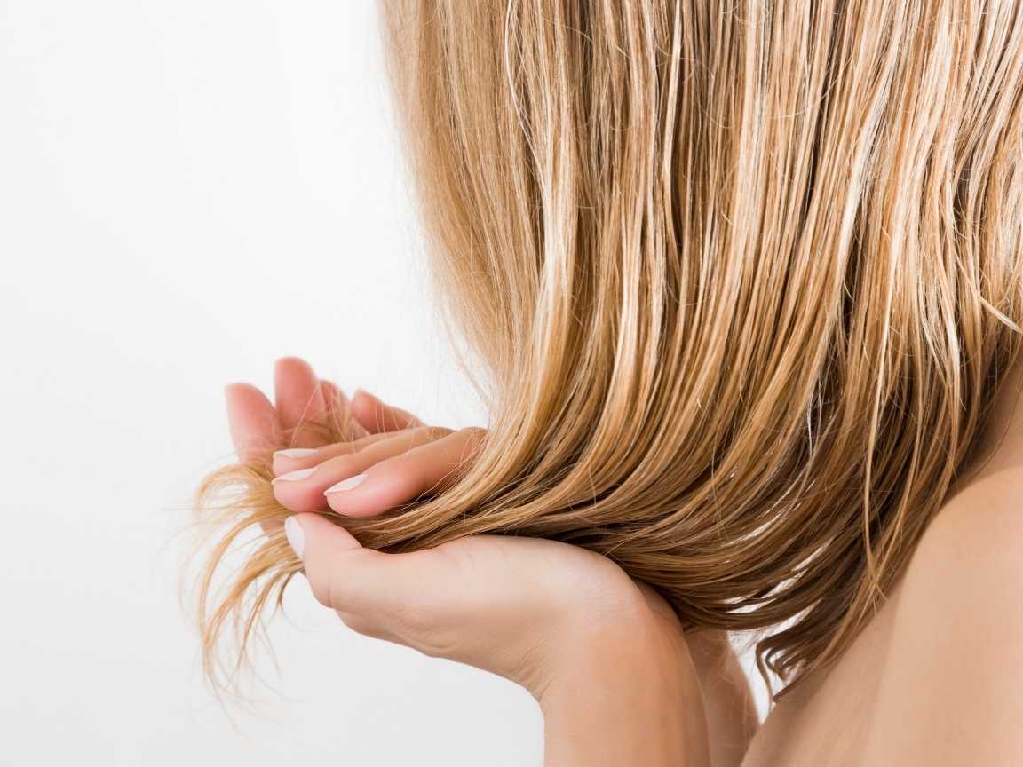 علاقة الشعر الدهني والقشرة علاقة الشعر الدهني والقشرة