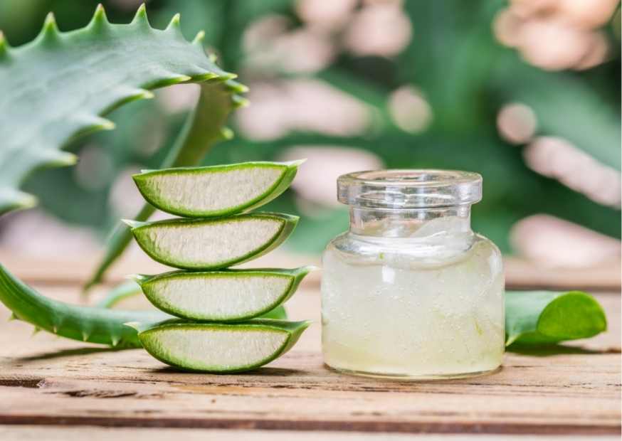 فوائد الألوفيرا ماسك الصبار للشعر