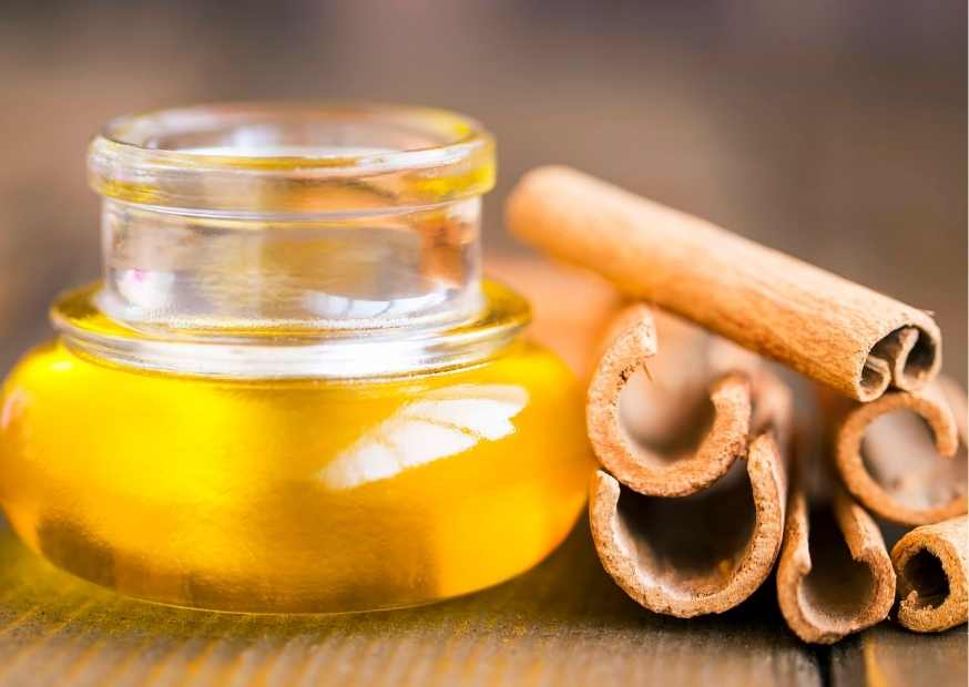 ماسك القرفة والعسل فوائد ماسك العسل والقرفة