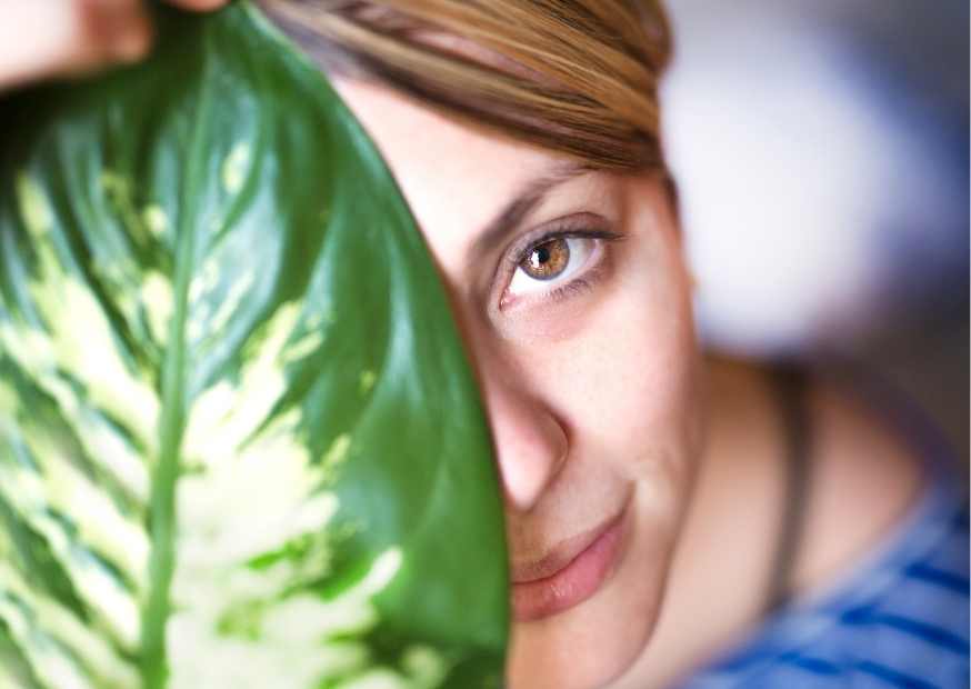 ماسك القهوه الخضراء ماسك القهوه الخضراء