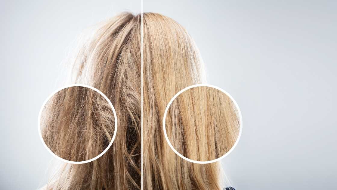 أنواع بلسم دوف أفضل أنواع بلسم دوف