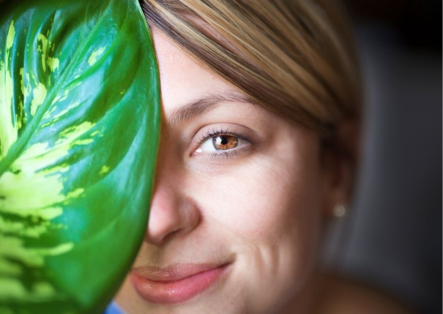 فوائد قناع الطحالب للوجه