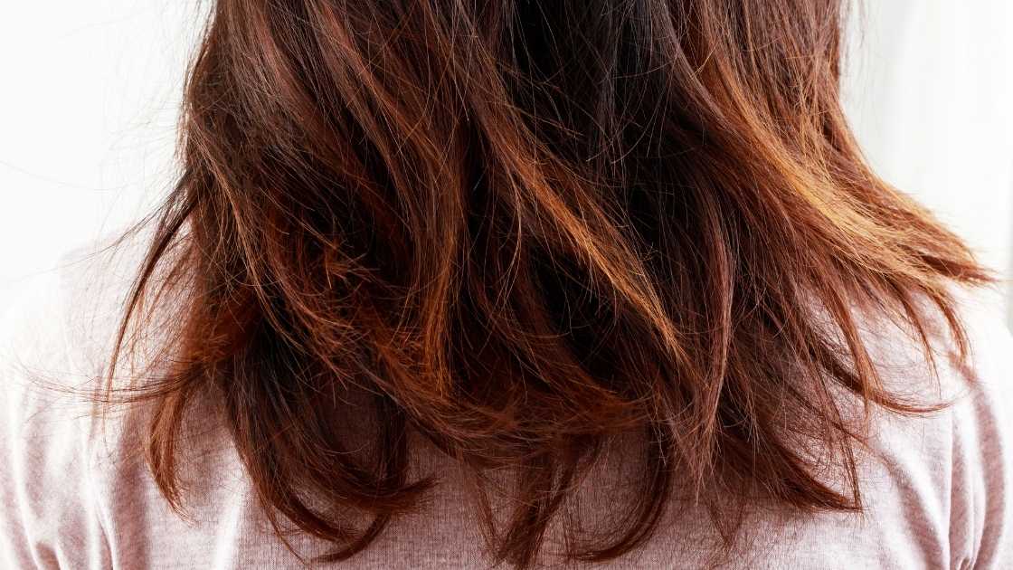 الشعر وصحته الشعر وصحته