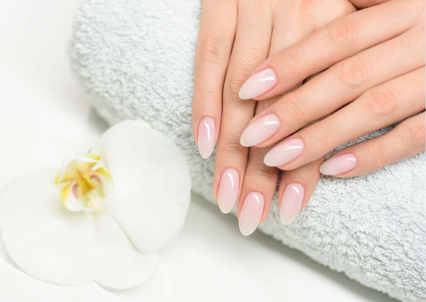 تقليم الأظافر تقليم الأظافر