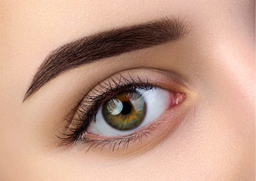 كونسيلر فور ايفر