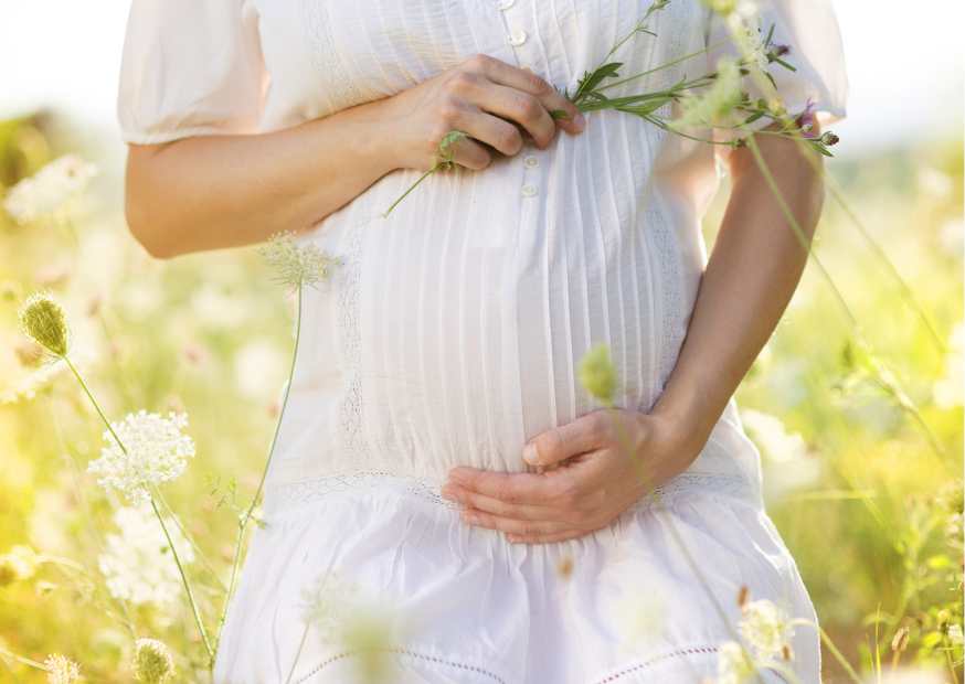 نظام غذائي للحامل السمينة نظام غذائي للحامل السمينة