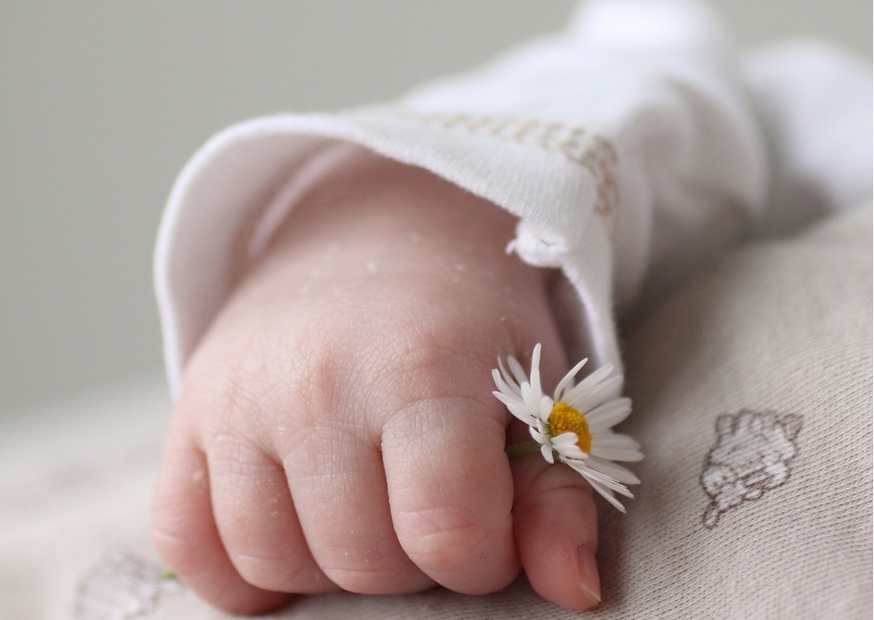 معنى اسم تيم وصفاته معنى اسم تيم وصفاته