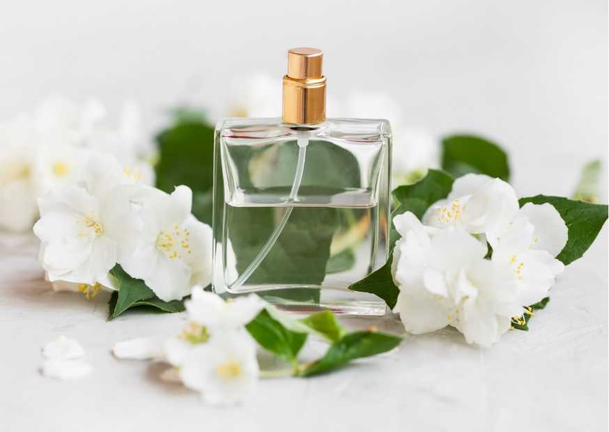 إيف سان لوران إيف سان لوران