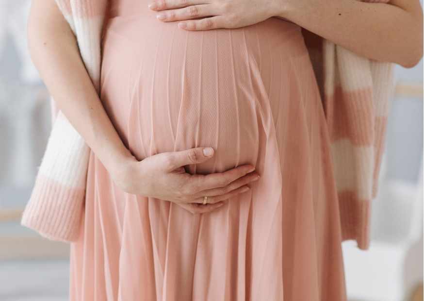 ما هي المشيمة ما هي المشيمة