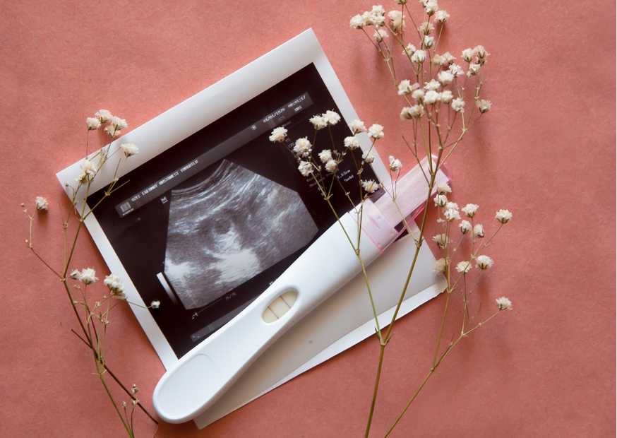 طرق تثبيت الحمل بالأعشاب