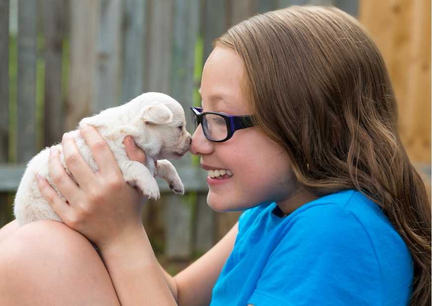 معنى اسم جودي