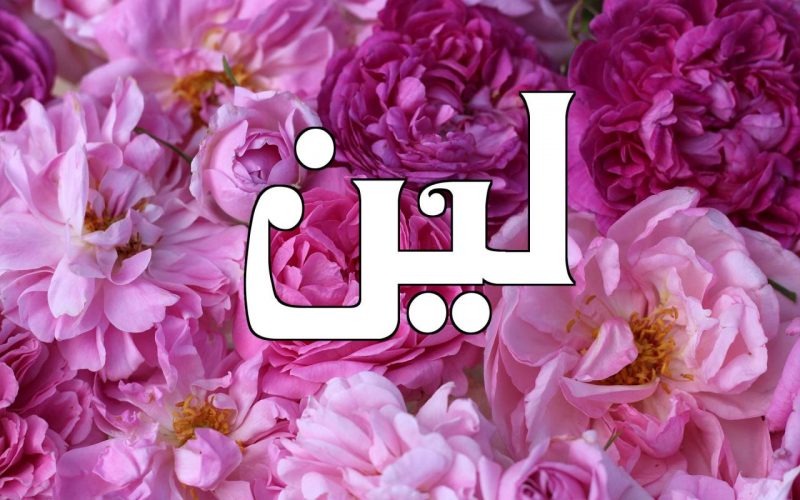  معنى اسم لين 