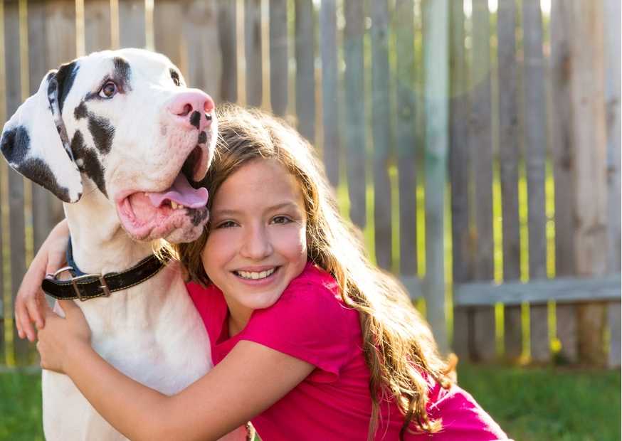 معنى إسم لوجين 