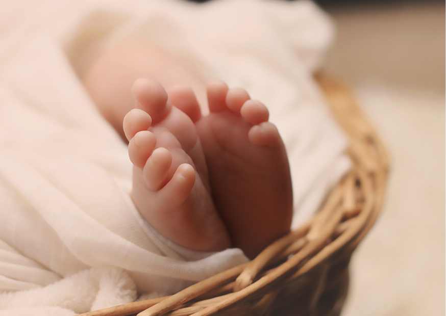 معنى اسم صوفيا