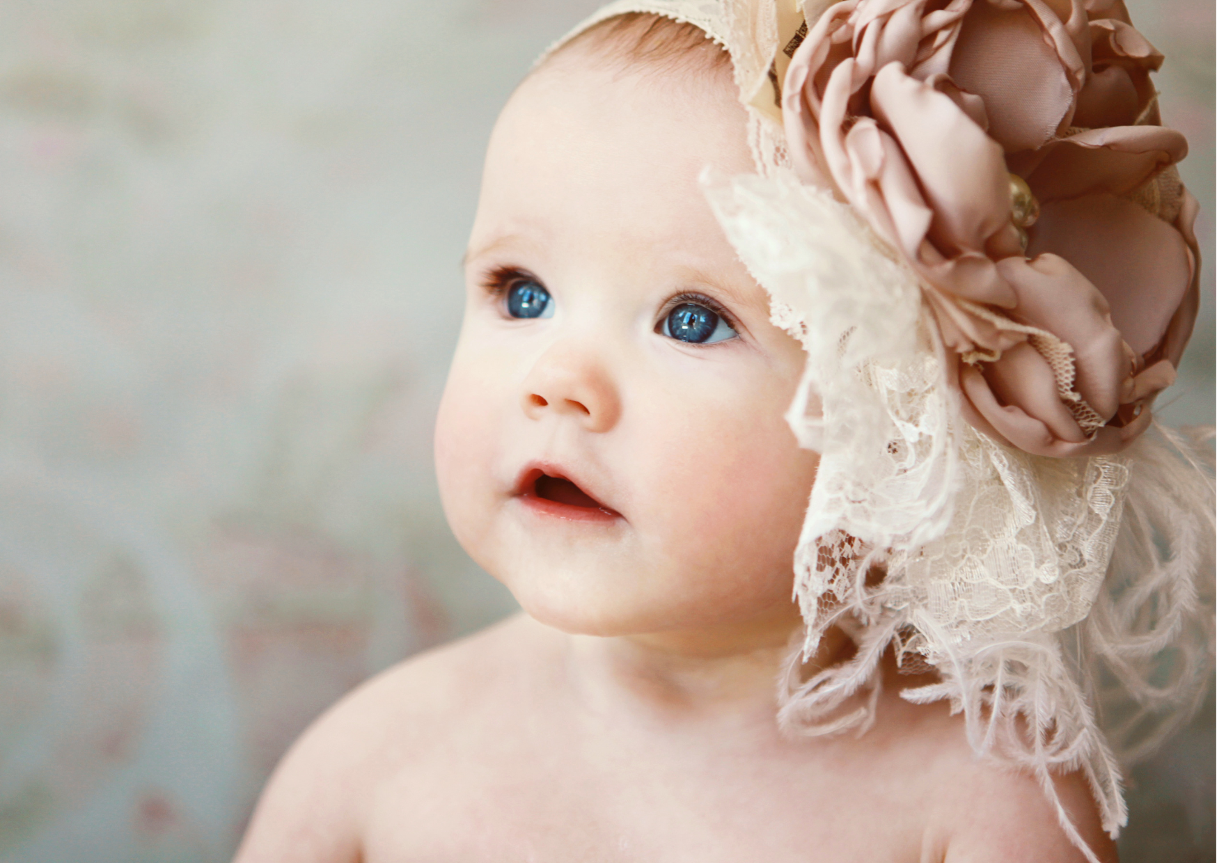 معنى اسم نورس معنى اسم نورس