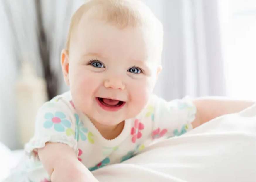 معنى اسم نورسين