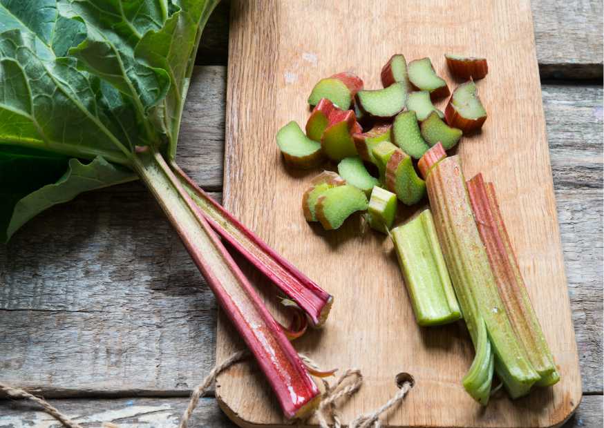 فوائد الراوند للتخسيس فوائد الراوند للتخسيس