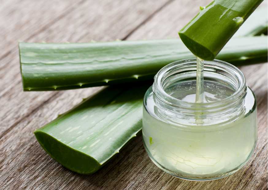 طريقة استخدام الصبار للشعر