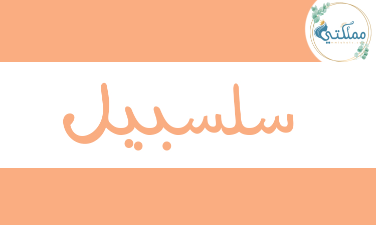معنى اسم سلسبيل معنى اسم سلسبيل